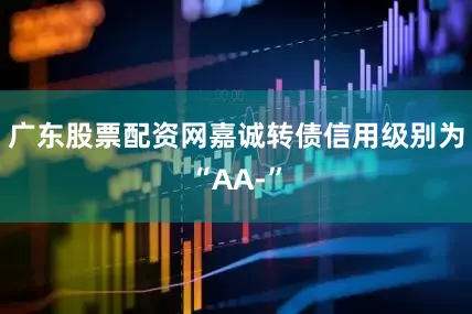 广东股票配资网嘉诚转债信用级别为“AA-”